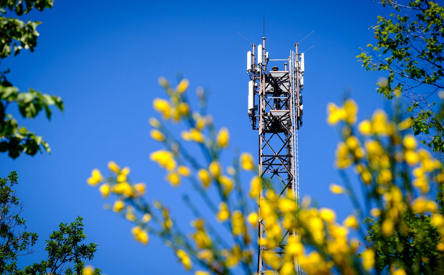 DFMG Telecom Tower