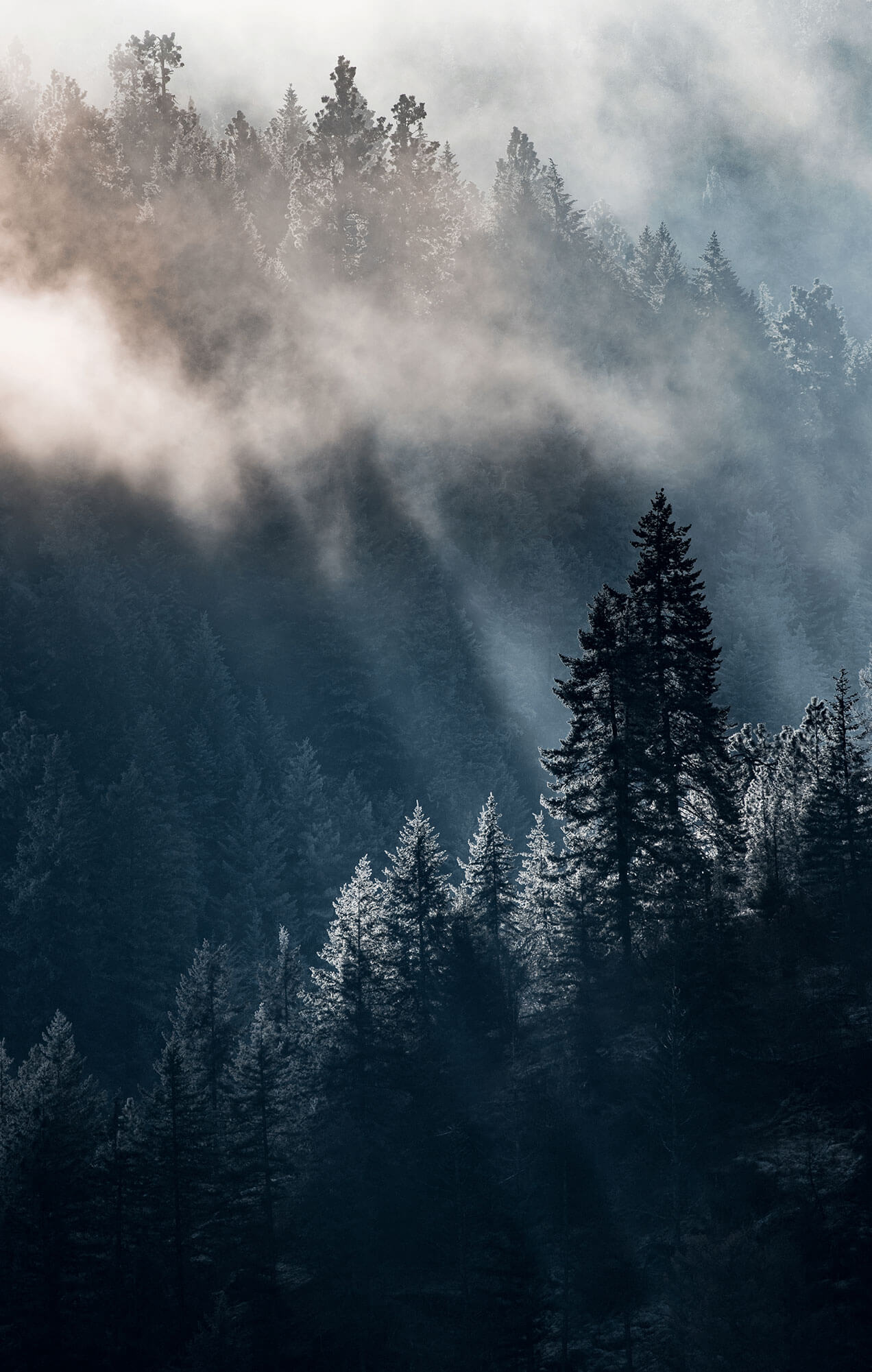 View of a hazy mountainside