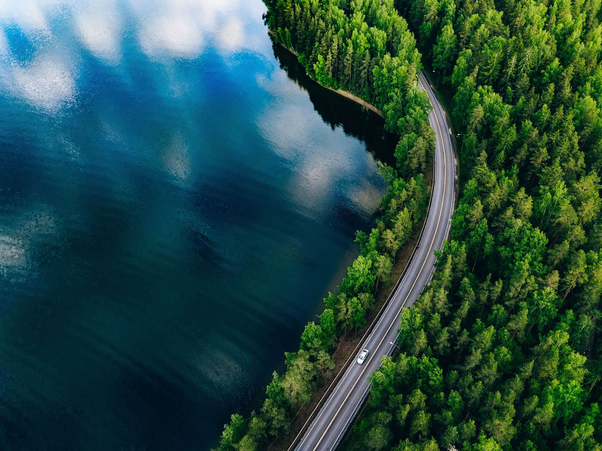 Road Between Lake and Trees