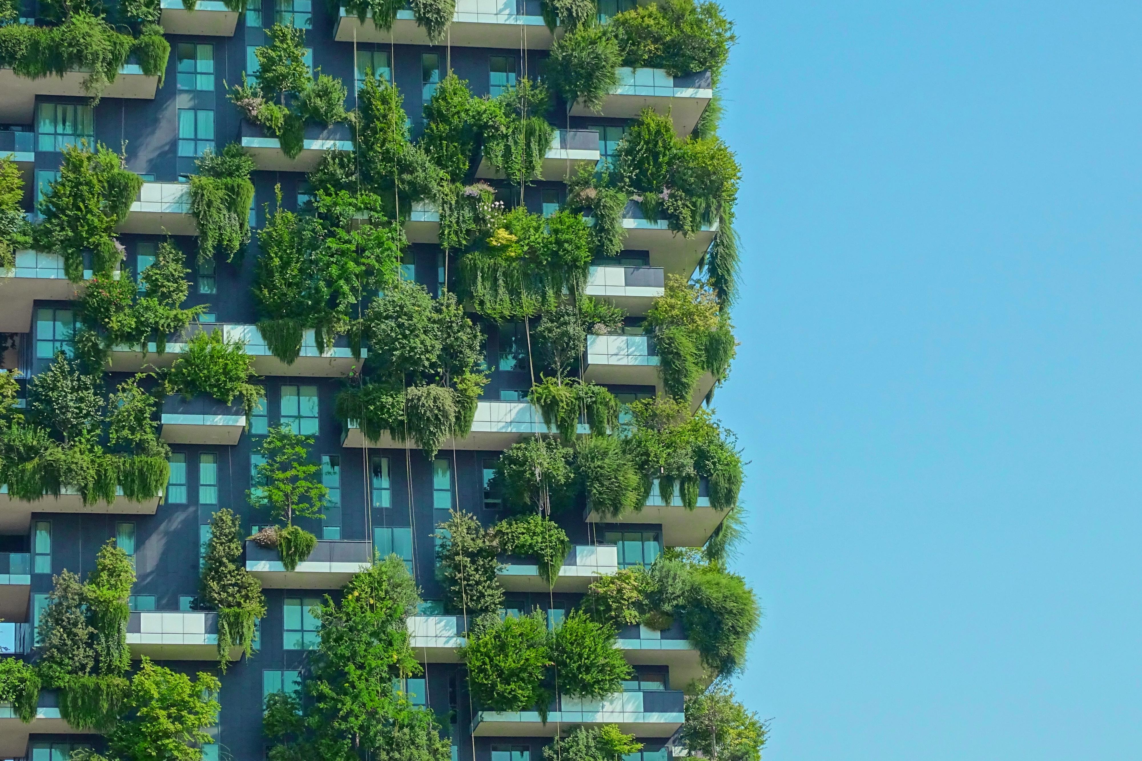 green-building-sky