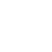Professional_active_management